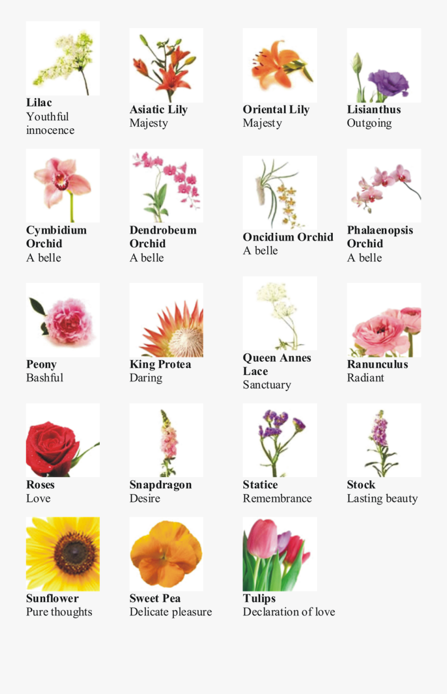 Name Of Different Type Of Flowers , Free Transparent Clipart - ClipartKey