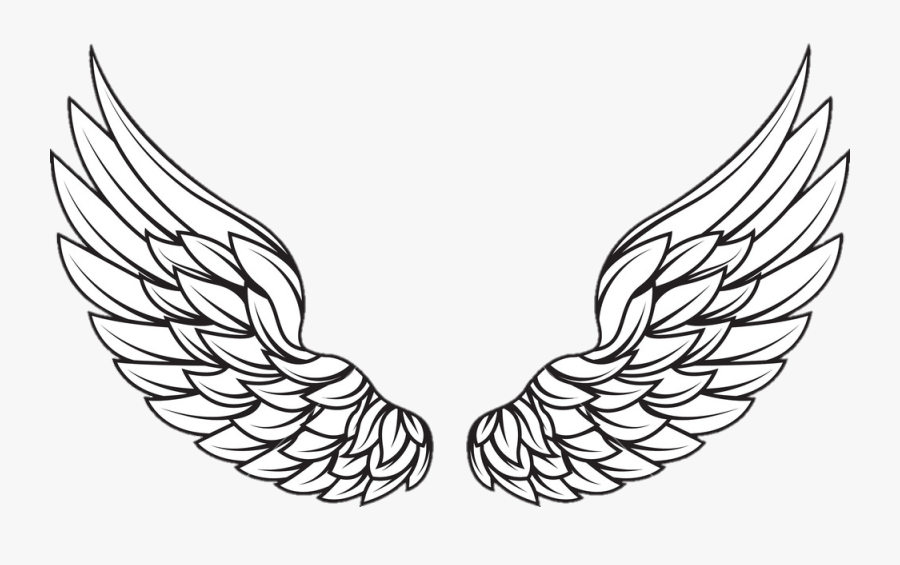 Asas De Anjo Vector Wings Png Logo Free Transparent Clipart