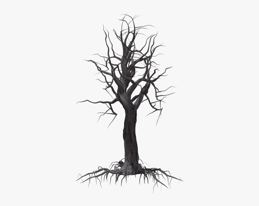 Creepy Tree 04 By Wolverine041269 On Clipart Library - Sketch, Transparent Clipart