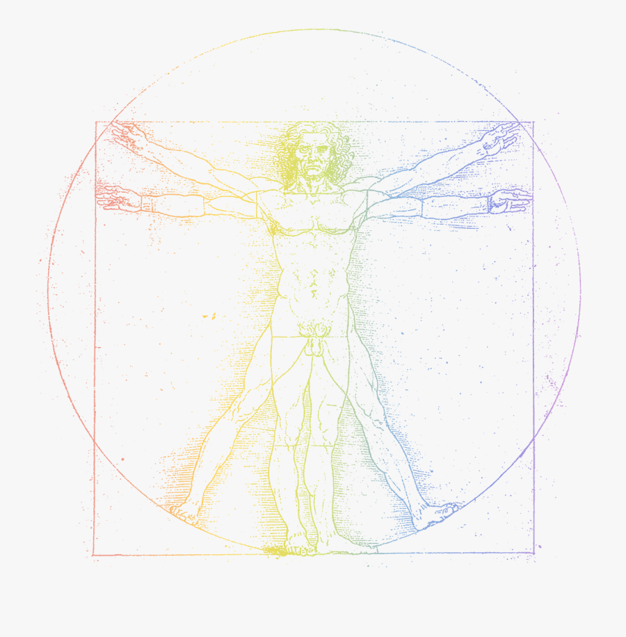 Transparent Vitruvian Man Png - Leonardo Da Vinci, Transparent Clipart