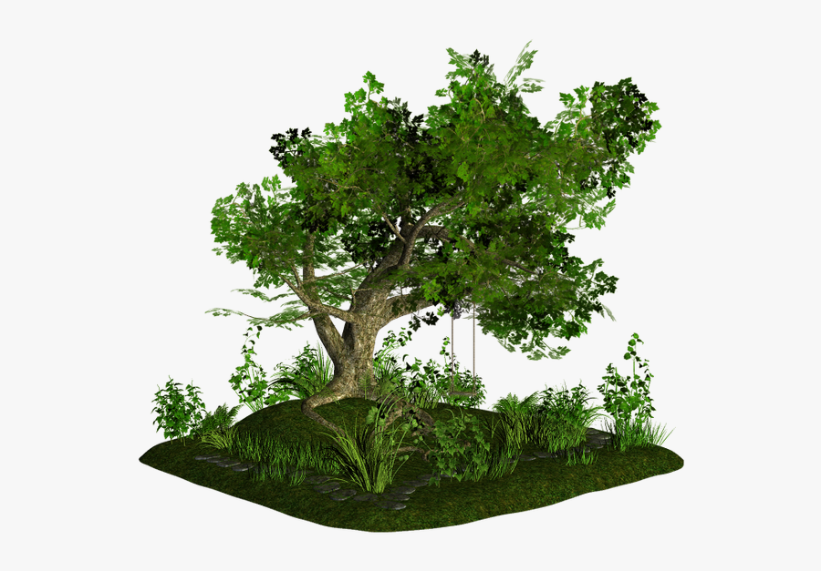 Bonsai Tree Flowerpot - Grass, Transparent Clipart