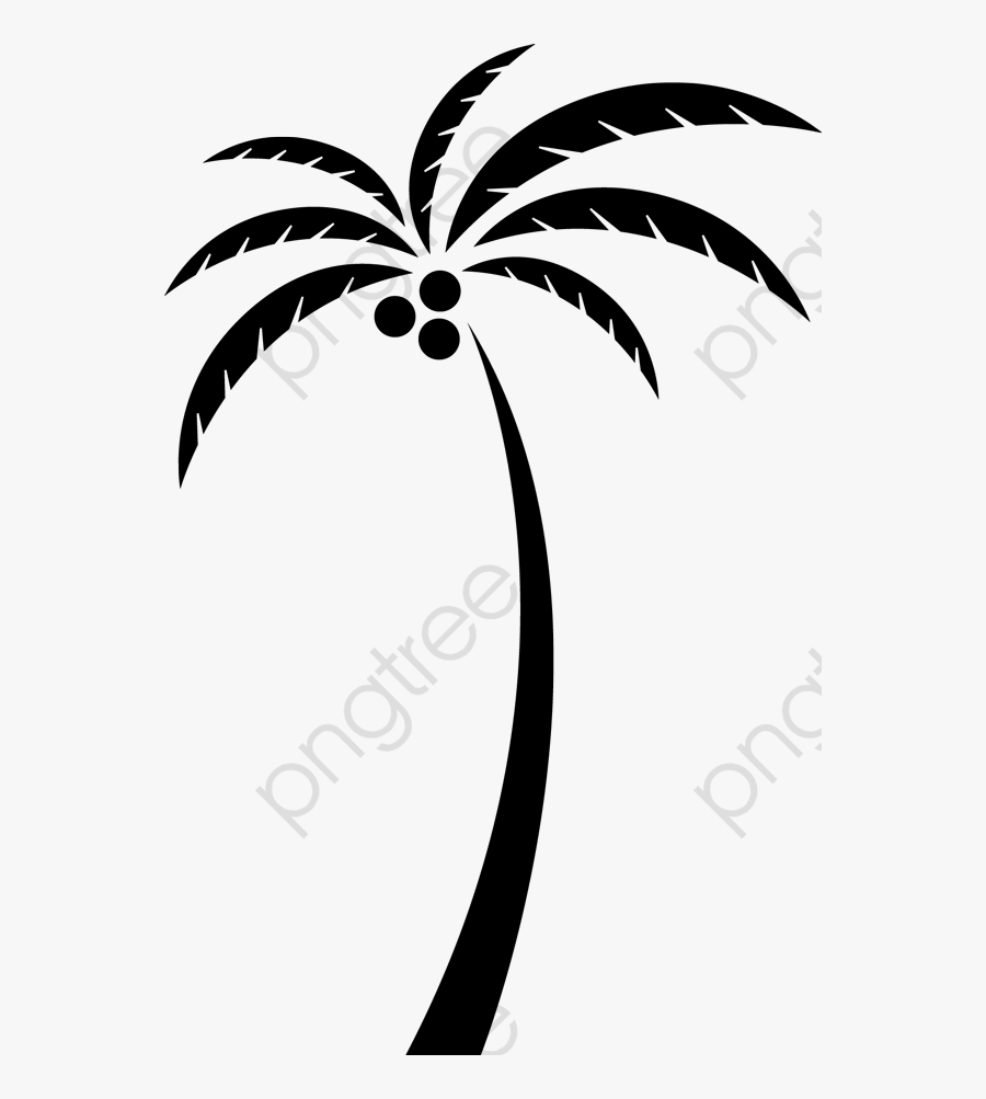 Crazy Clipart Coconut - Coconut Tree Clipart Png , Free Transparent ...