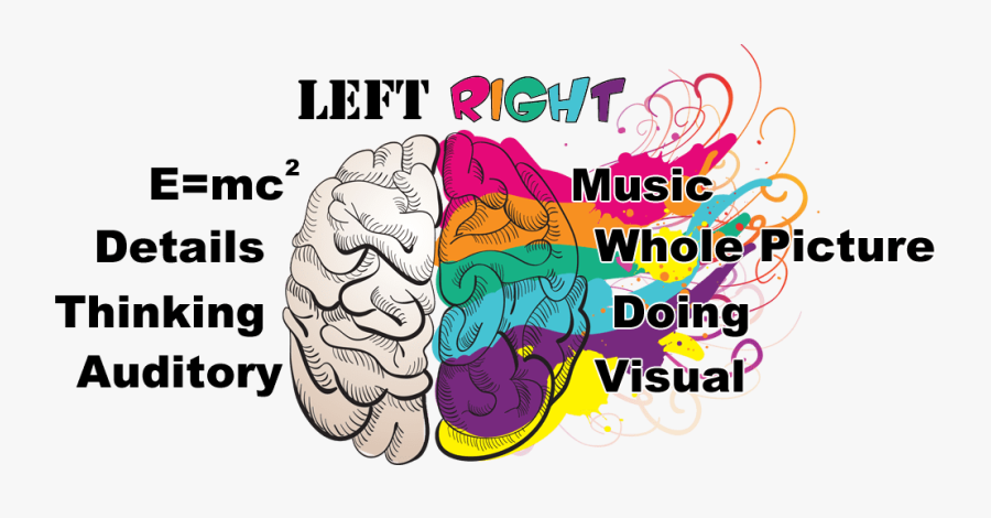 Transparent Myth Clipart - Brain And Learning Styles, Transparent Clipart