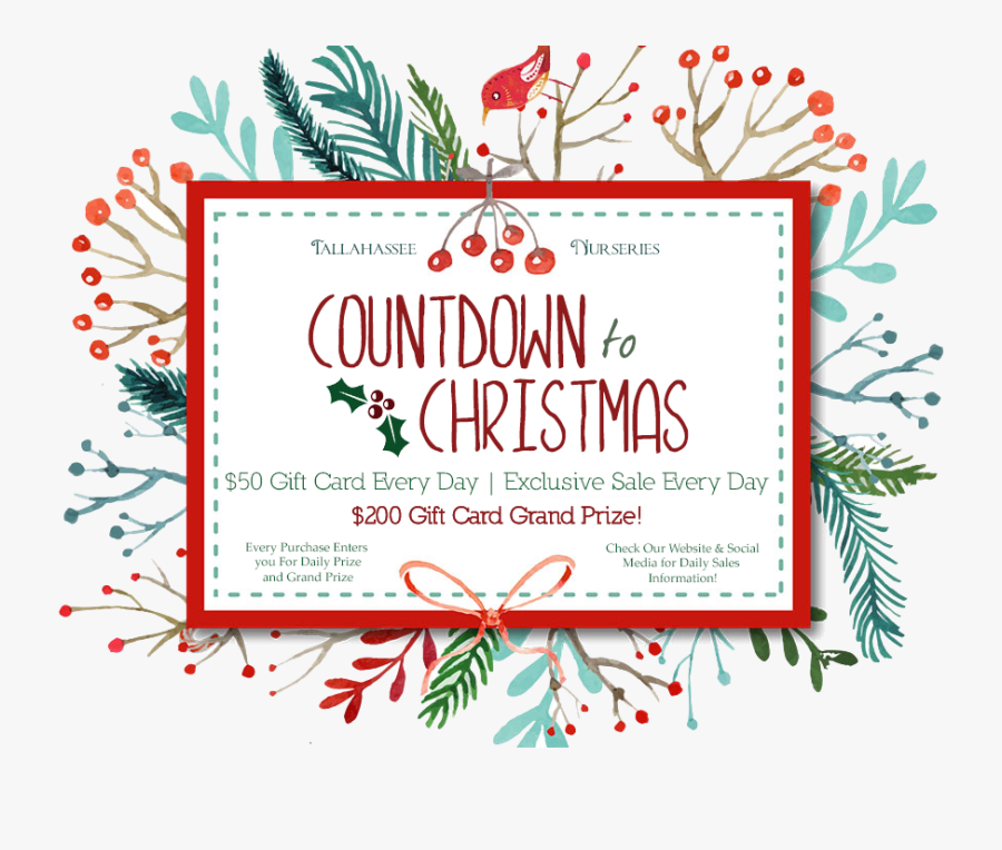 Clip Art Countdown To Christmas Images - Christmas Countdown Social Media, Transparent Clipart