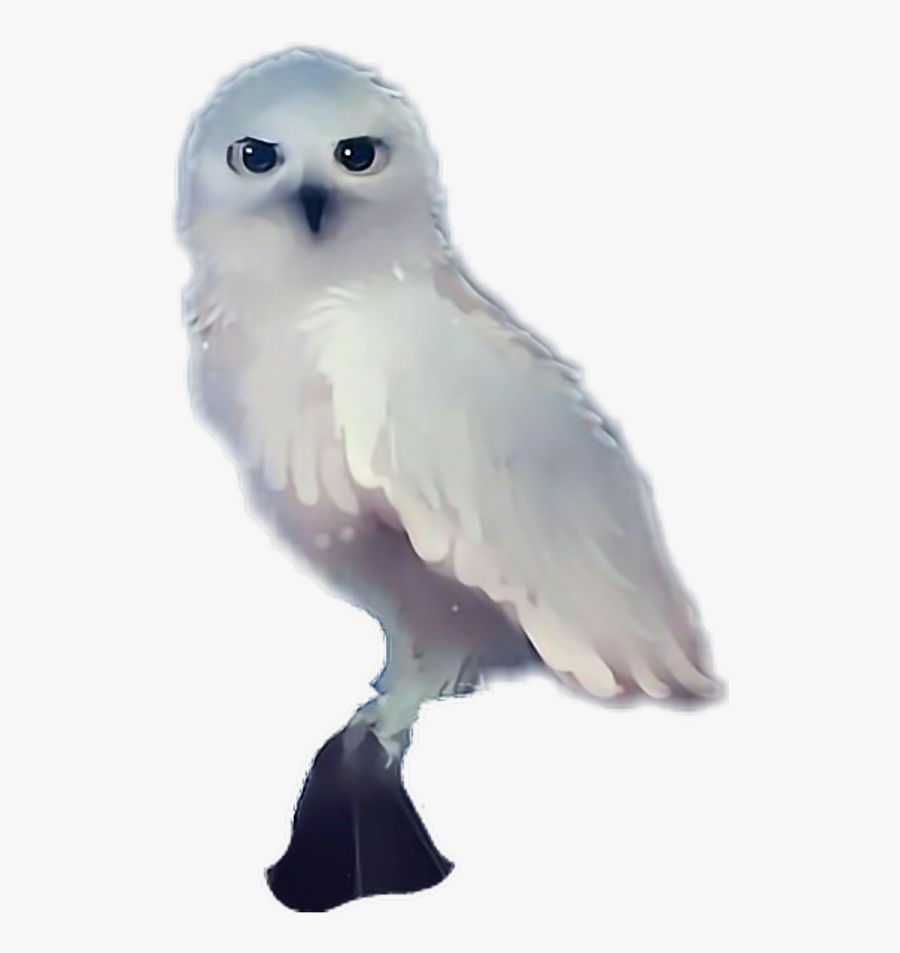 #hedwig - Snowy Owl , Free Transparent Clipart - ClipartKey