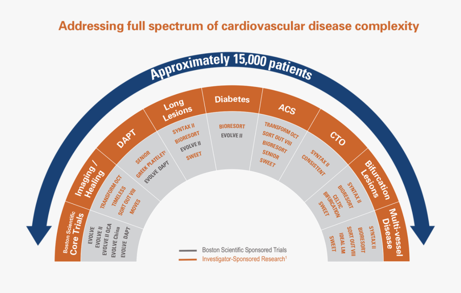 Addressing Full Spectrum Of Cardiovascular Disease - Circle, Transparent Clipart