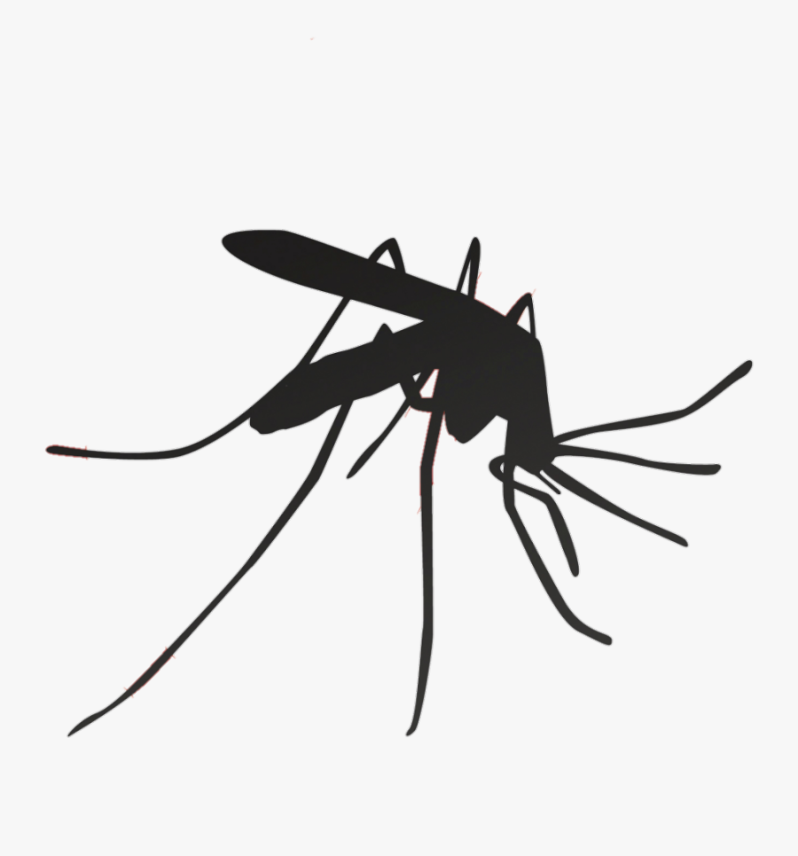 Mosquito Household Insect Repellents Pest Control - Mosquito Transparent Image Black And White, Transparent Clipart