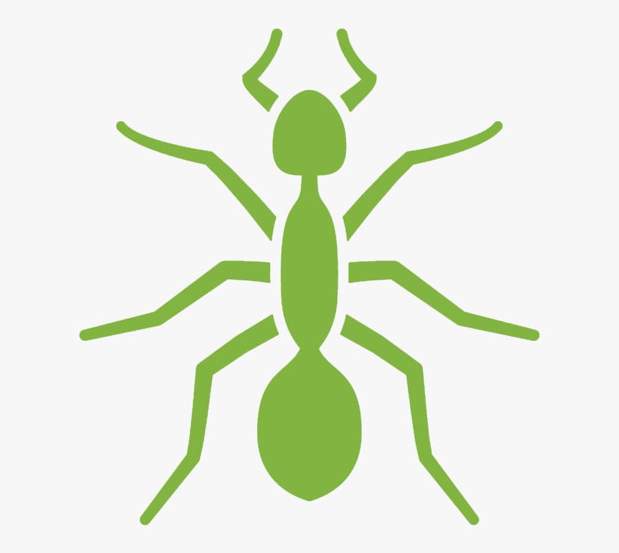 Pest Control Services - Ant, Transparent Clipart