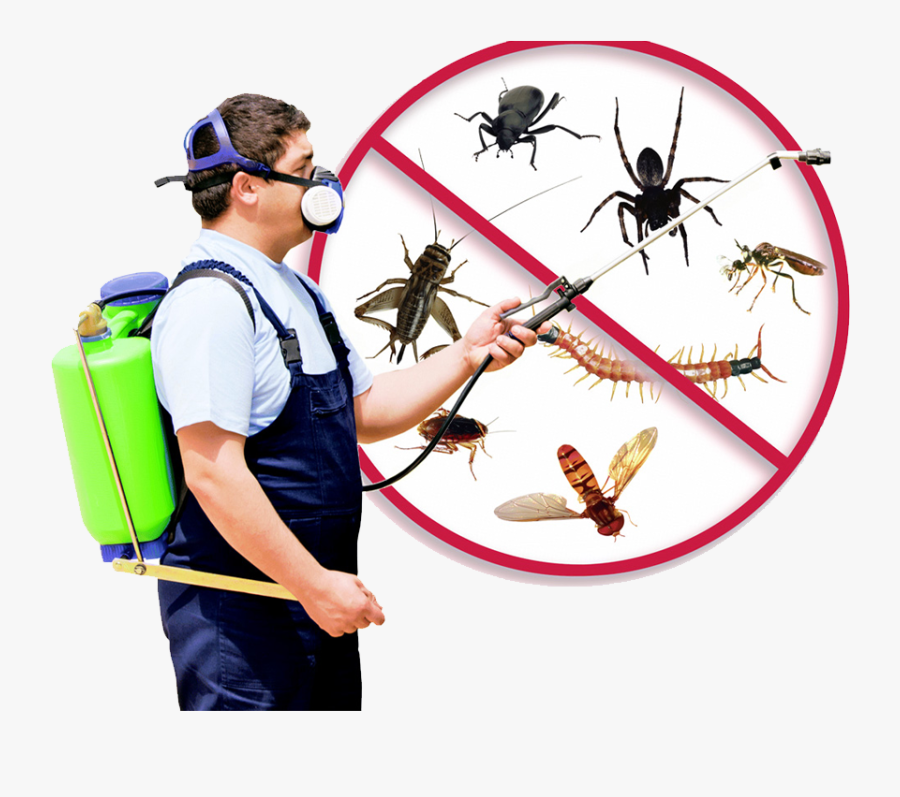 Control Of Insects And Rodents, Transparent Clipart