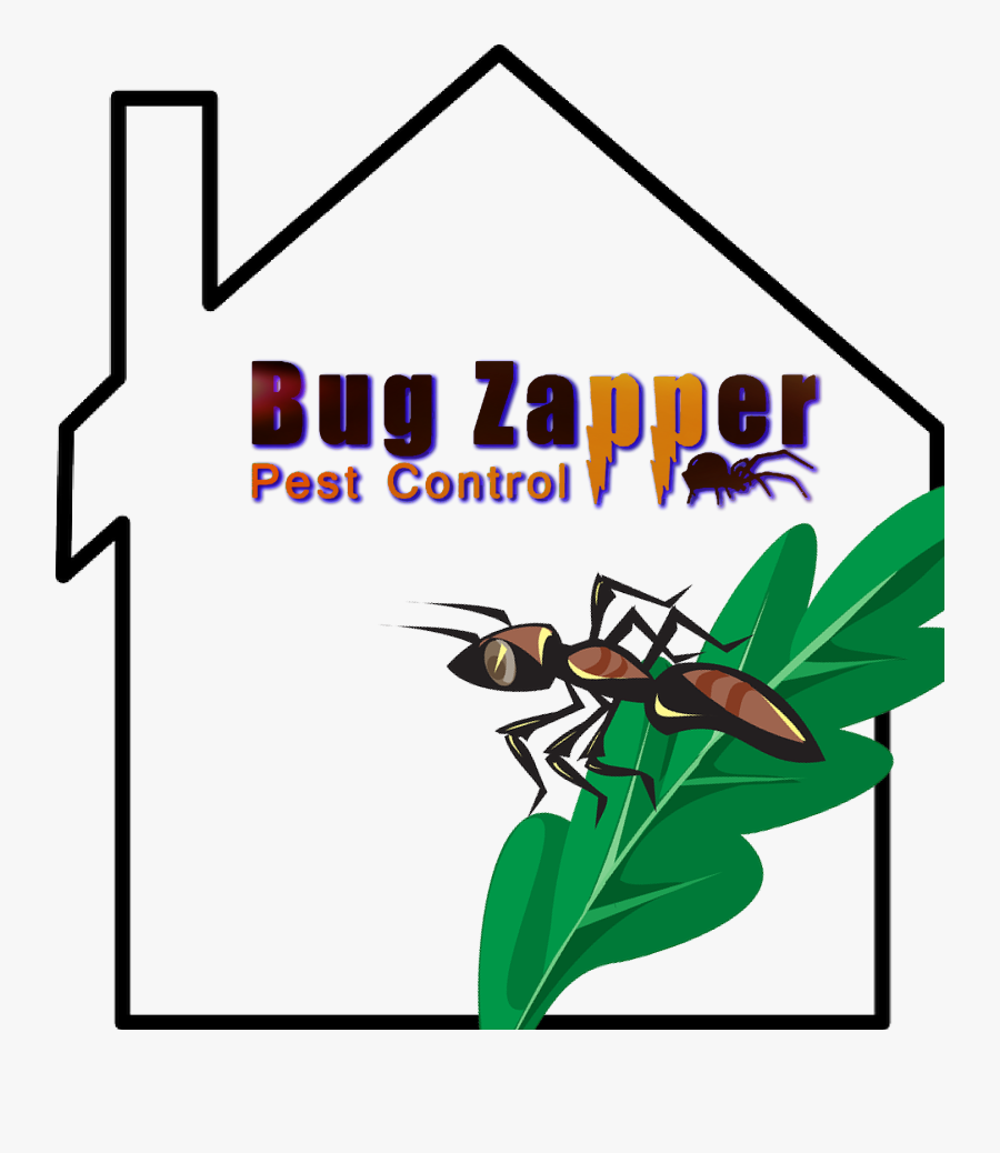 Transparent Pest Control Clipart - House To Colour Template, Transparent Clipart