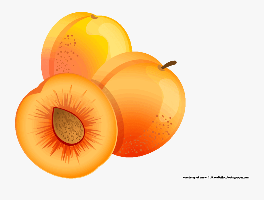 Transparent Orange Fruit Clipart - Clipart Apricot Png, Transparent Clipart