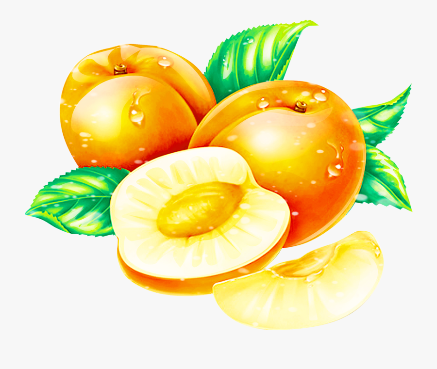 Apricot Clipart Chico - Pomelo, Transparent Clipart