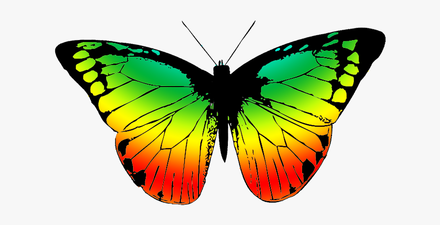 Wing Clipart Colorful - Transparent Butterfly Black And White, Transparent Clipart