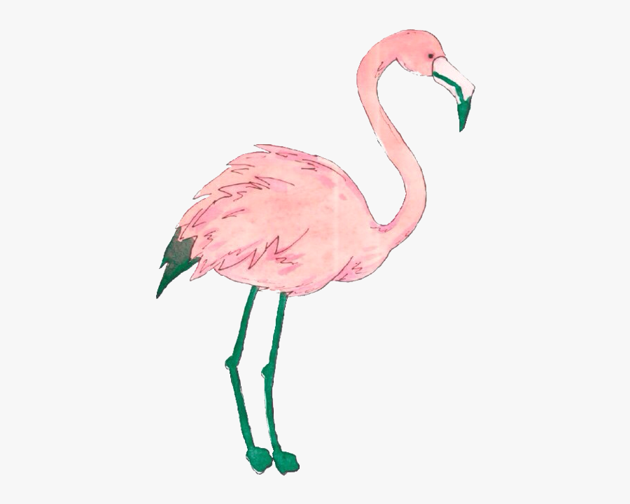 Flamingo Tumblr Png, Transparent Clipart