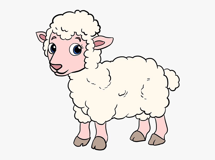 How To Draw Lamb - Cartoon , Free Transparent Clipart - ClipartKey