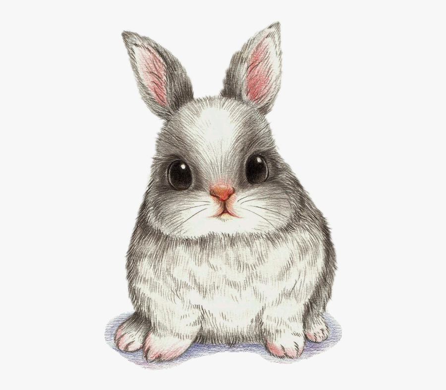 Cartoon Rabbit Drawing : Pin On Desene | Bodewasude