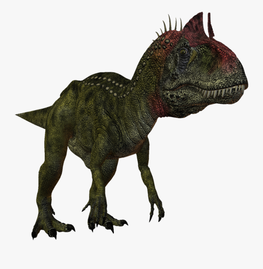 Dinosaur Velociraptor Ankylosaurus Giganotosaurus - Velociraptor And Ankylosaurus, Transparent Clipart