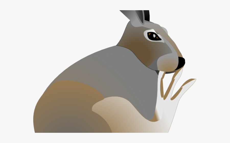 Rabbit, Transparent Clipart