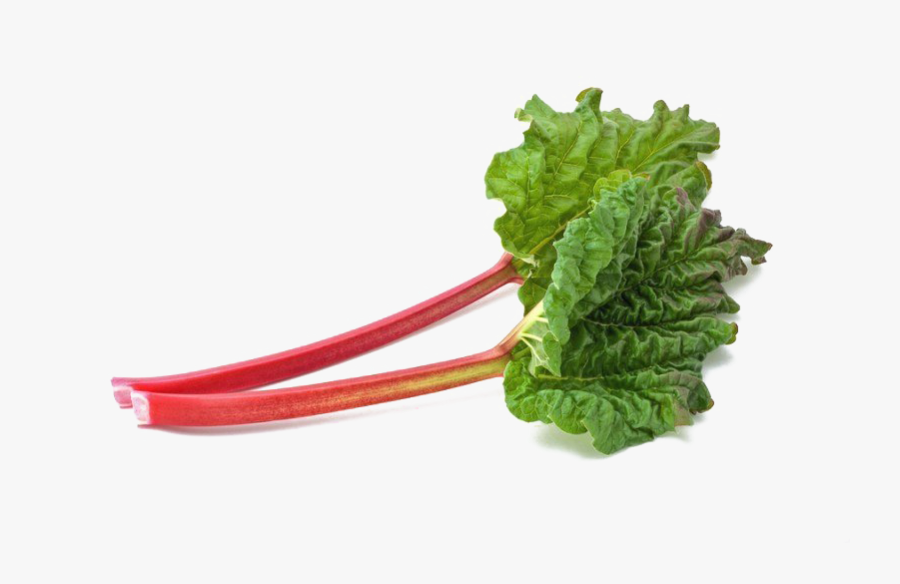 Rhubarb Png Image - Rhubarb Plant, Transparent Clipart