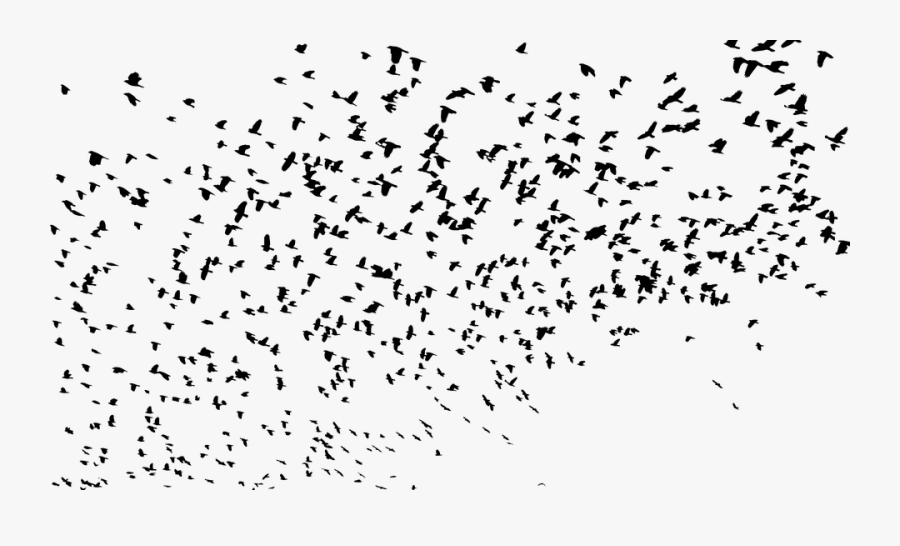 Flock Of Birds Silhouette Png, Transparent Clipart