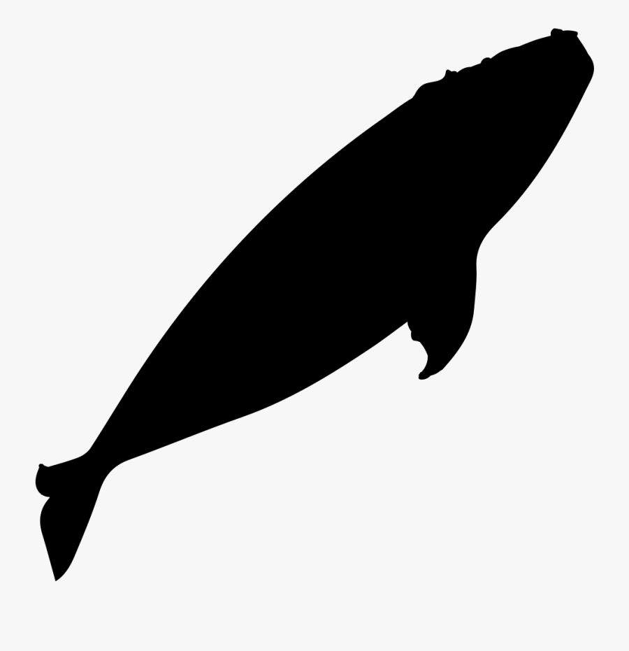 Southern Right Whale Whale Watching Silhouette - Right Whale Silhouette, Transparent Clipart