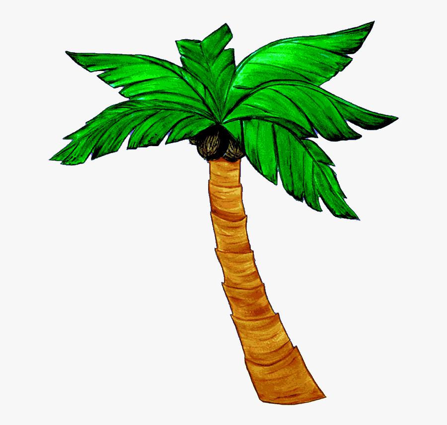 Draw A Beach Scene For Kids Clipart , Png Download - Palm Tree Kids, Transparent Clipart