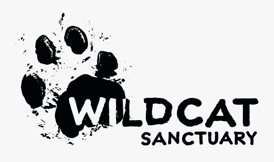 Wildcat Paw Print - Graphic Design, Transparent Clipart