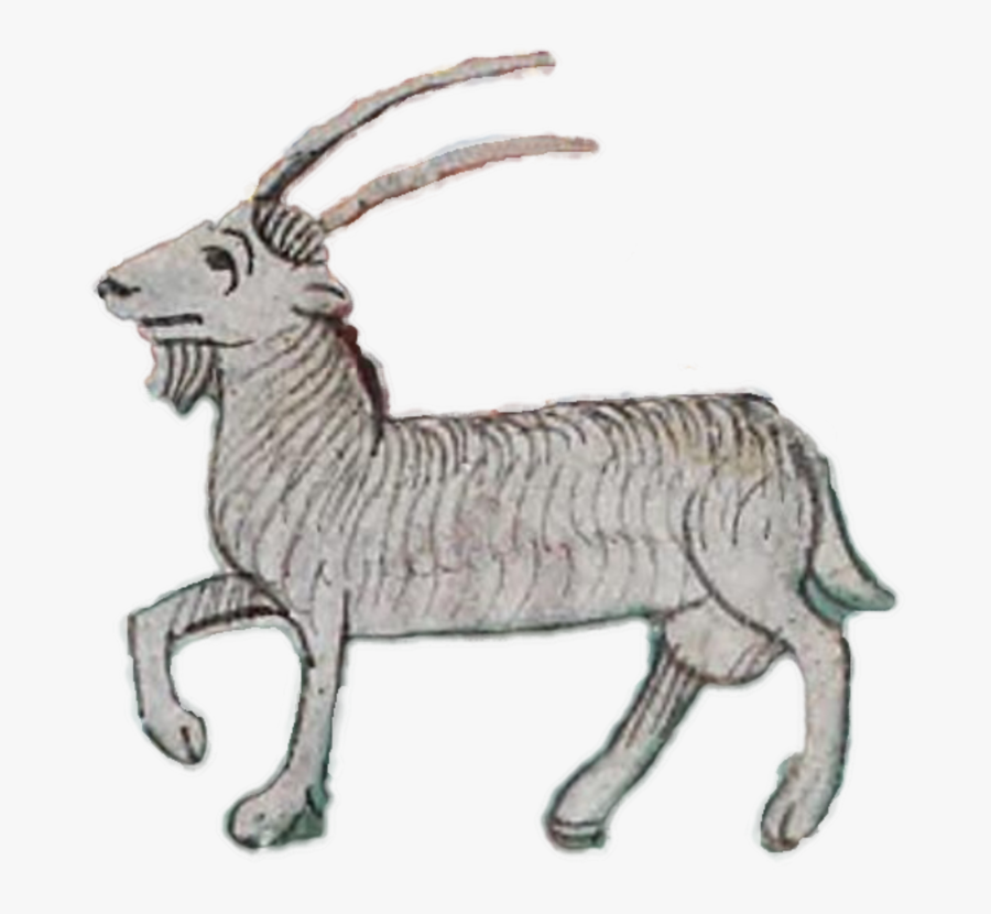 Sheep,antelope,cattle Like Mammal - Goat In Middle Ages, Transparent Clipart