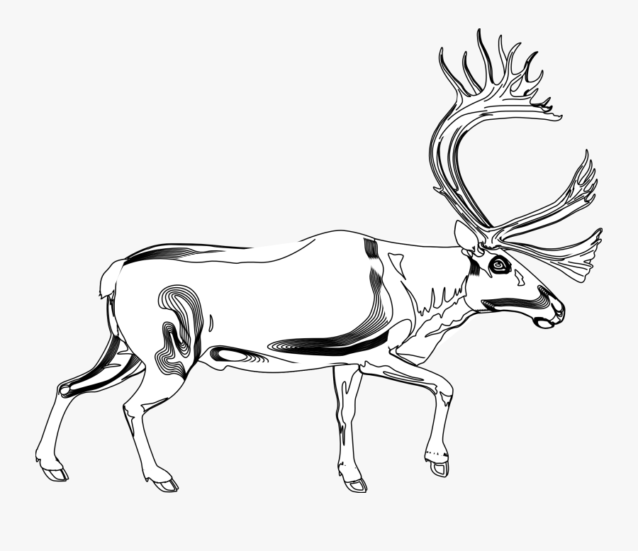 Reindeer Line Art Antelope Antler - Cartoon, Transparent Clipart