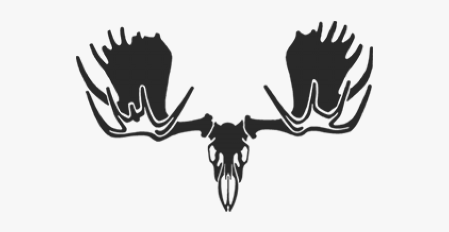 Moose Skull Decal, Transparent Clipart