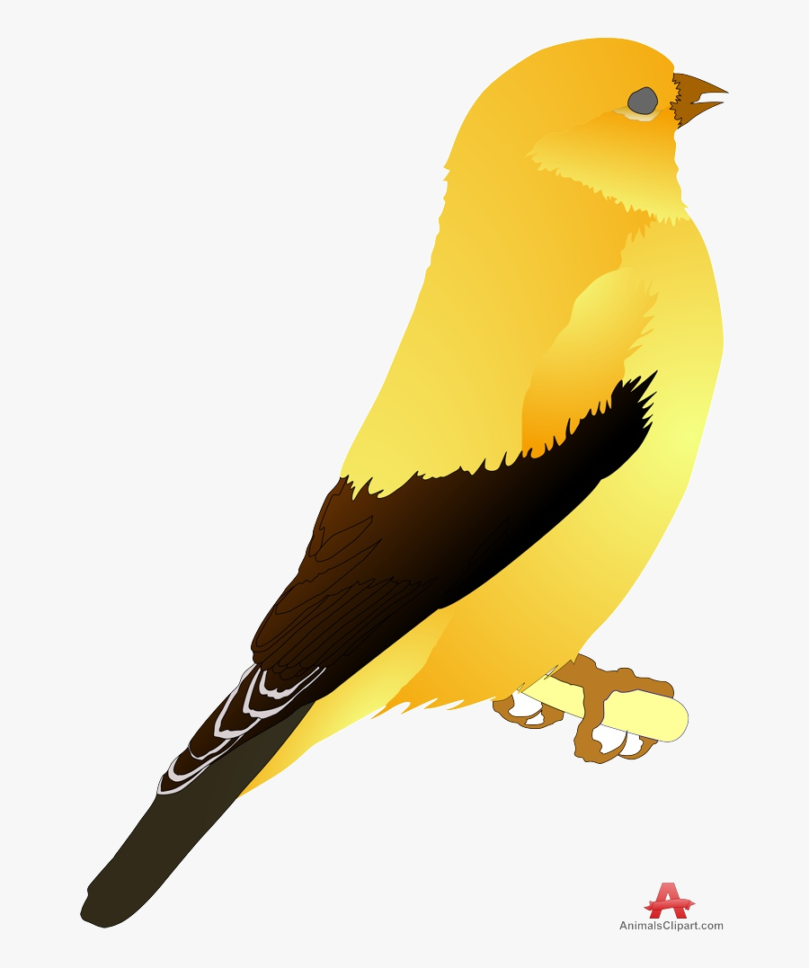 Bird Canary Yellow Clipart Free Design Transparent - Canary Clipart Png, Transparent Clipart