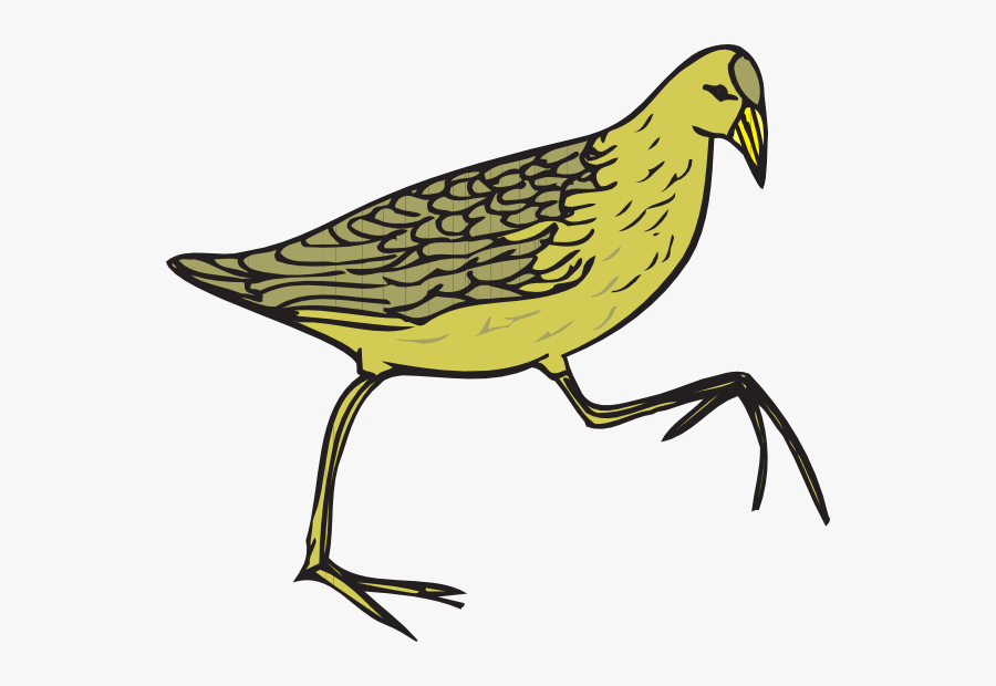 Cartoon Bird With Feathers, Transparent Clipart