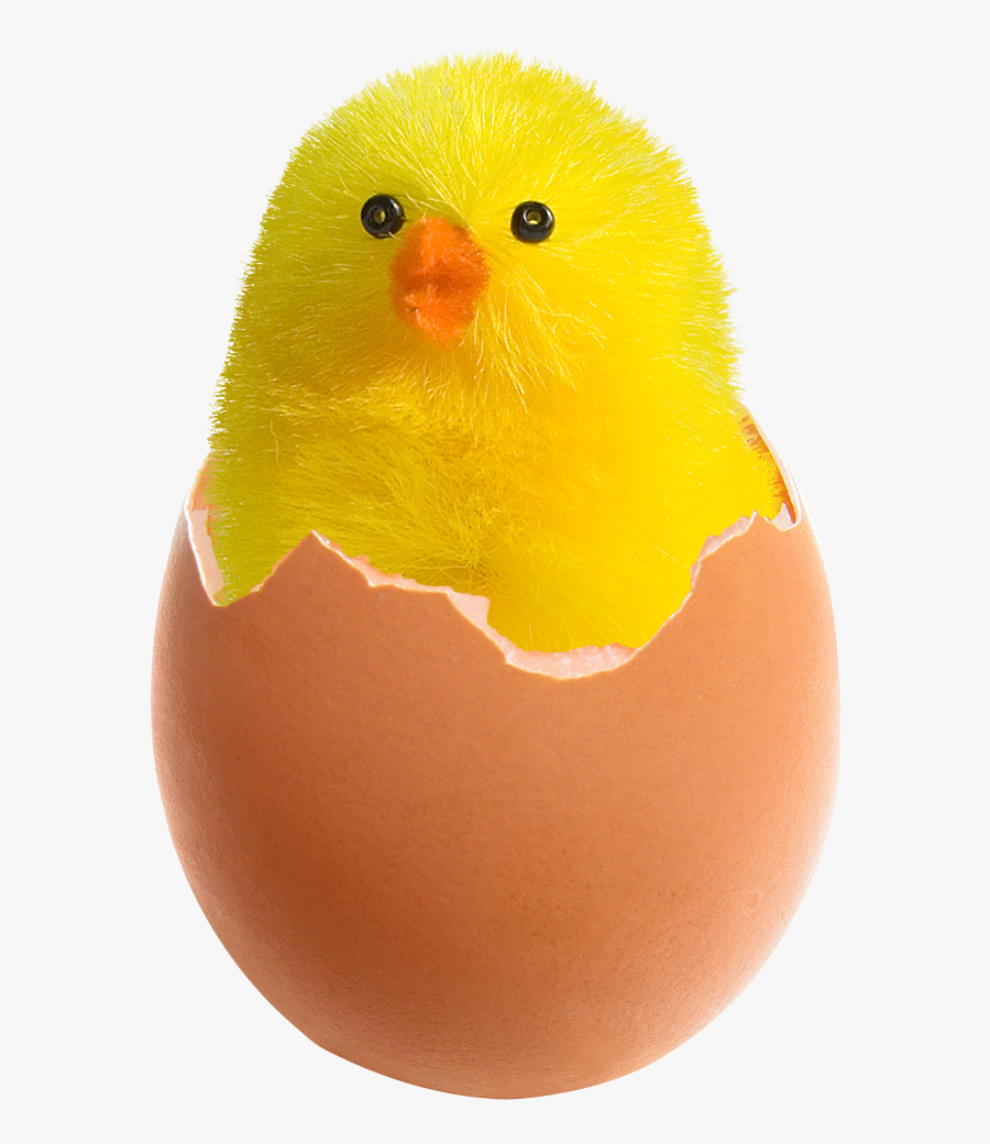 Chicken In Broken Egg Png Image - Broken Egg Image Png, Transparent Clipart