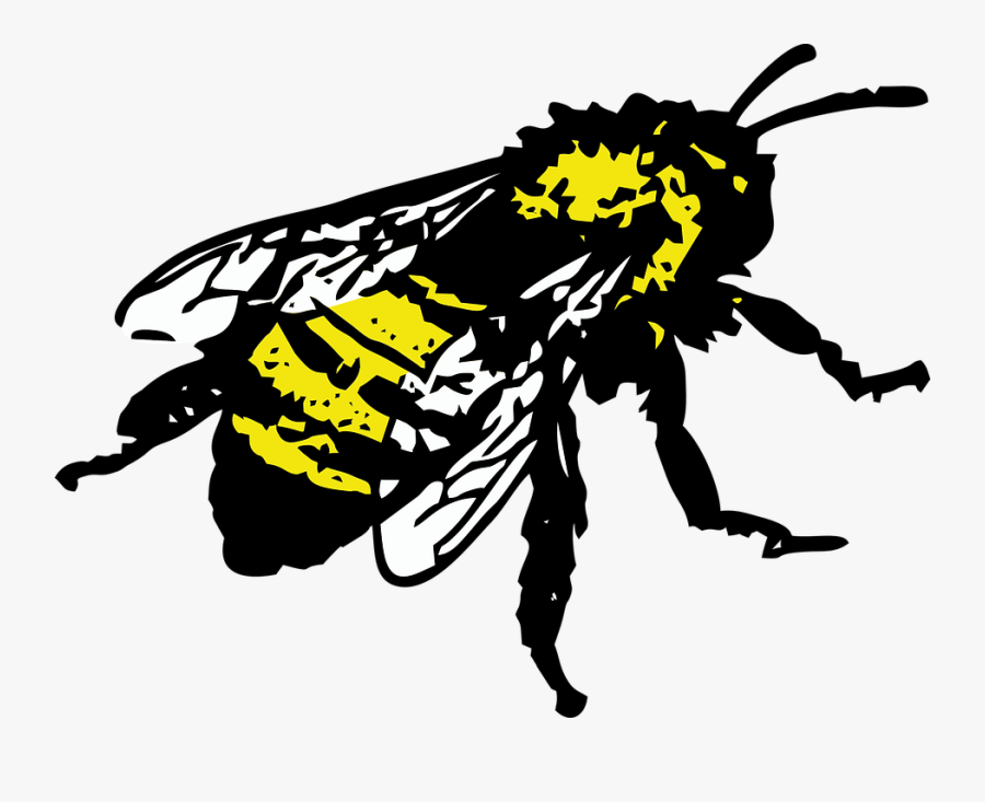 Honey Bee Graphic, Transparent Clipart