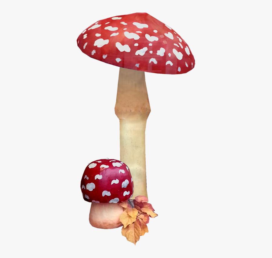 Agaricus, Transparent Clipart