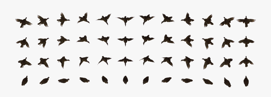 Dead Bird - Bird Flying Animation, Transparent Clipart