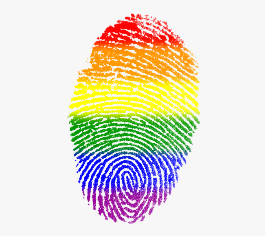 Rainbow Gay Pride, Transparent Clipart