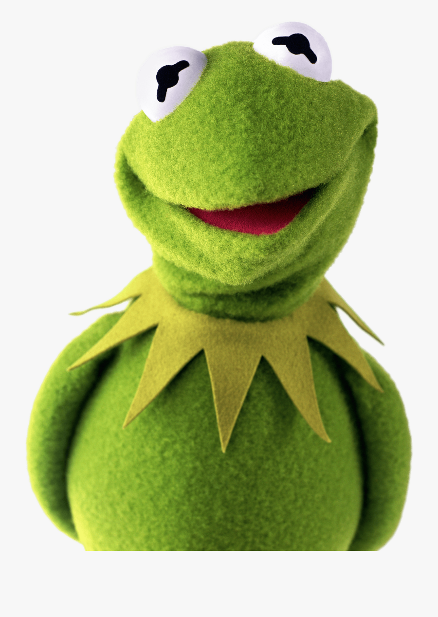 Kermit The Frog Shy - Kermit The Frog With Glasses, Transparent Clipart