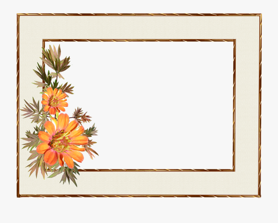 Frame, Floral, Gold Border, Decoration - Border Design Photo Frame, Transparent Clipart