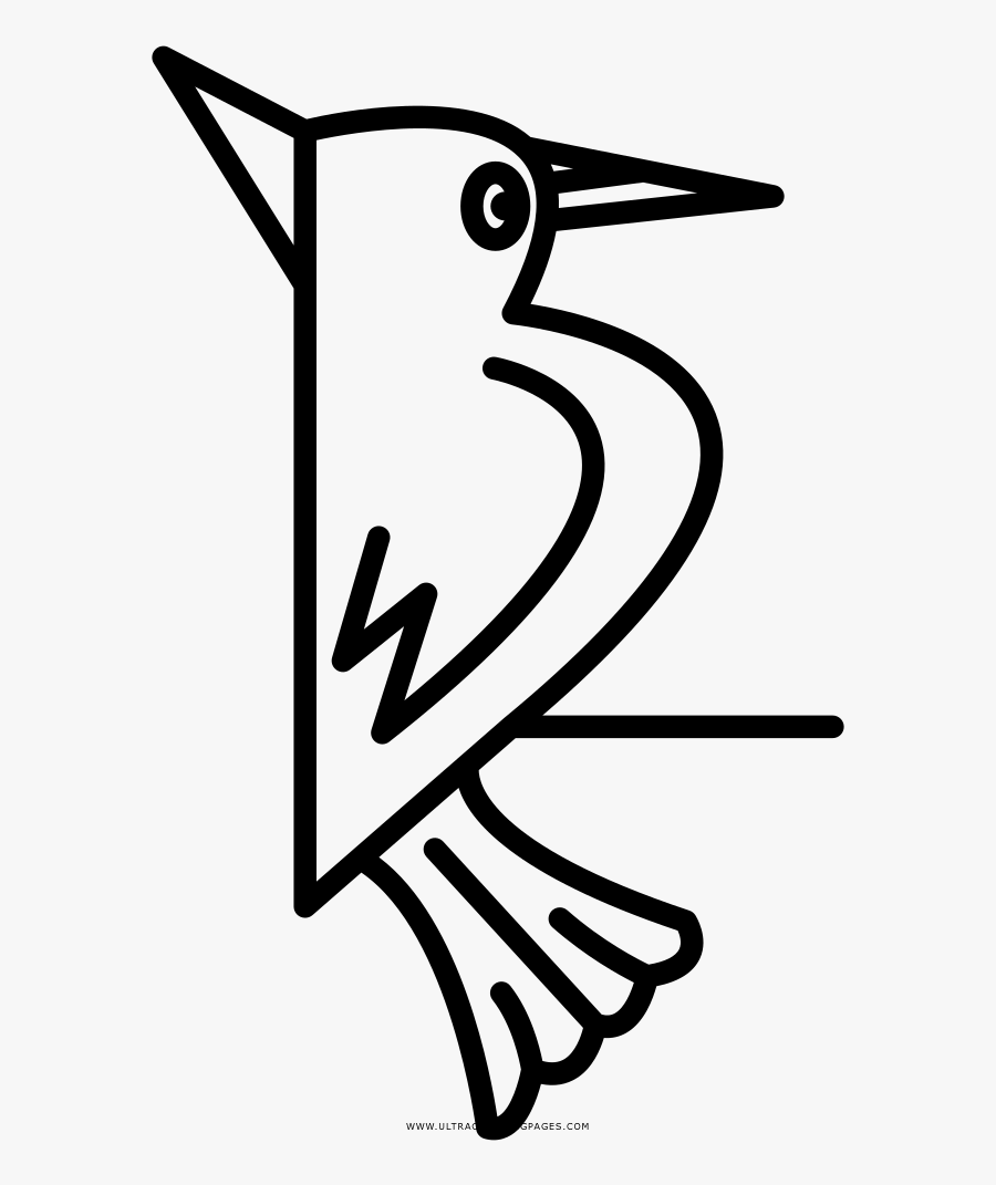 Woodpecker Coloring Page - Pajaro Carpintero Dibujo Facil, Transparent Clipart