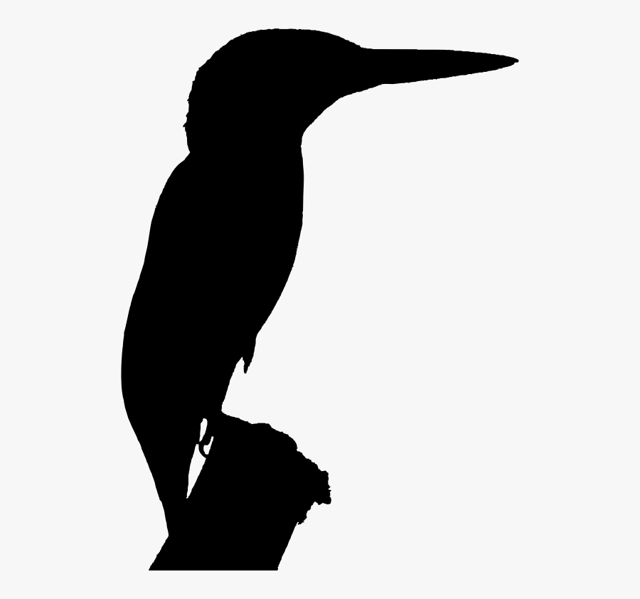 Clipart - Kingfisher Silhouette Transparent Background, Transparent Clipart