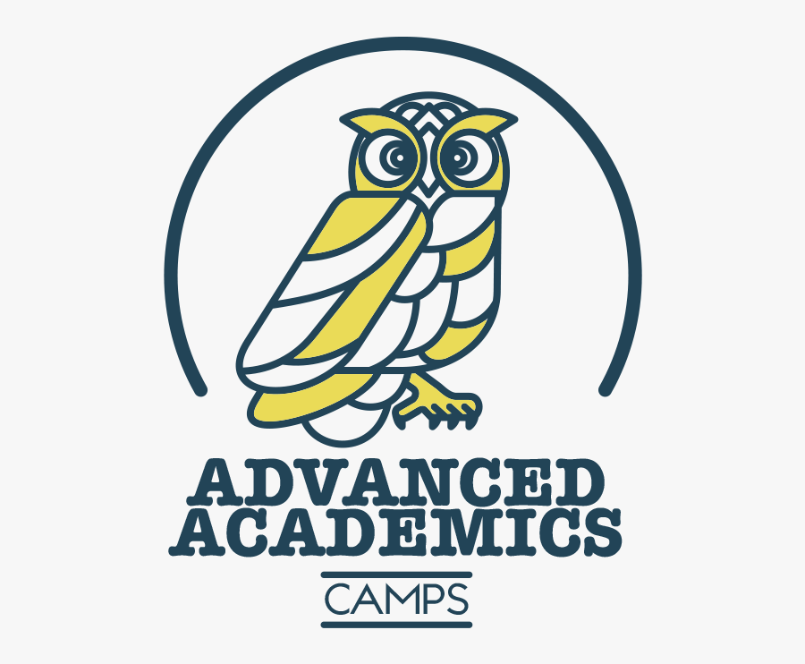 Picture - Owl Vector Logo Colorful, Transparent Clipart