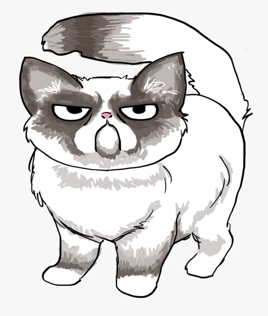 Drawn Grumpy Cat Easy Draw Pencil And In Color Drawn - Easy Drawing Of Grumpy Cat, Transparent Clipart