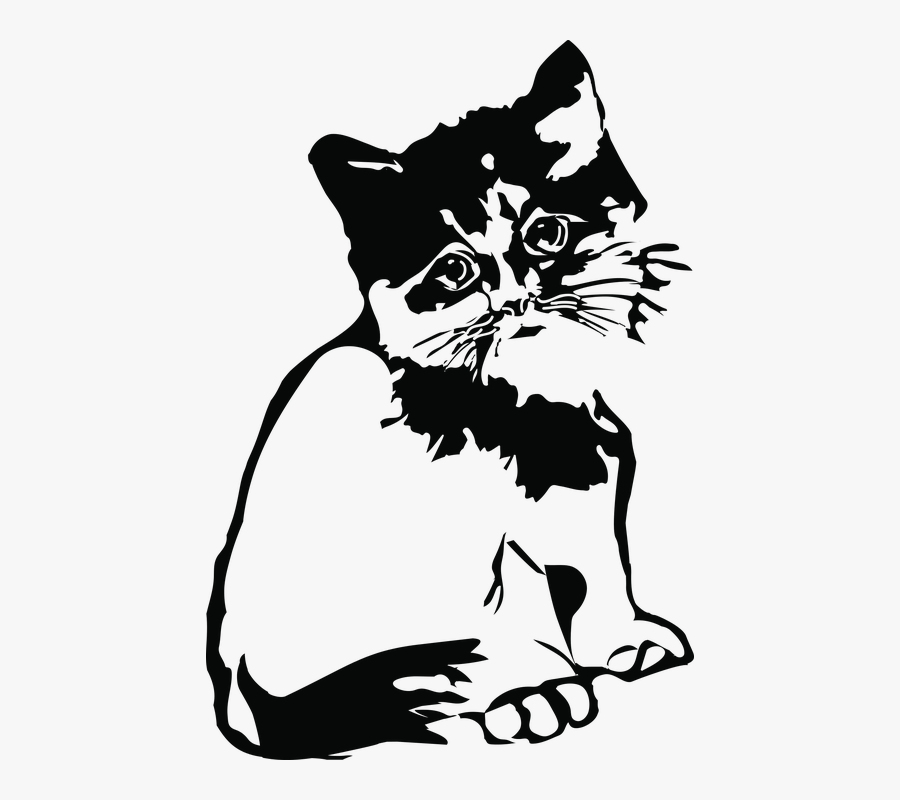 Cat, Animal, Kitten - Illustration, Transparent Clipart