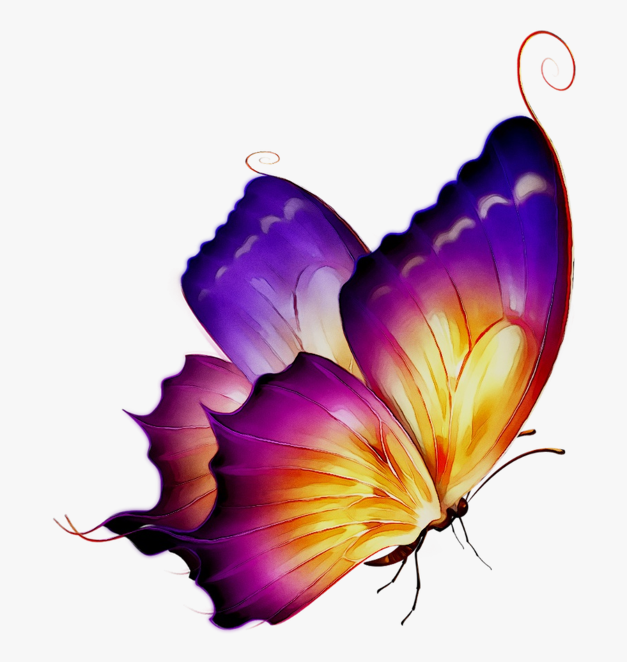 Butterfly Clipart Tshirt - Purple Butterfly Butterfly Png, Transparent Clipart