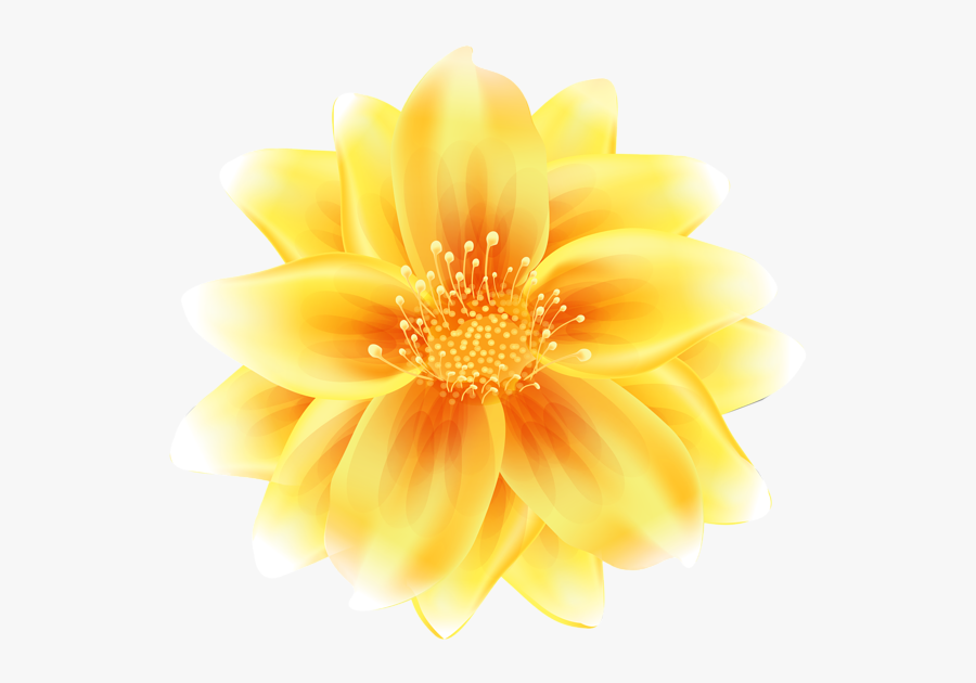 Zinnia Flower Yellow Clipart, Transparent Clipart