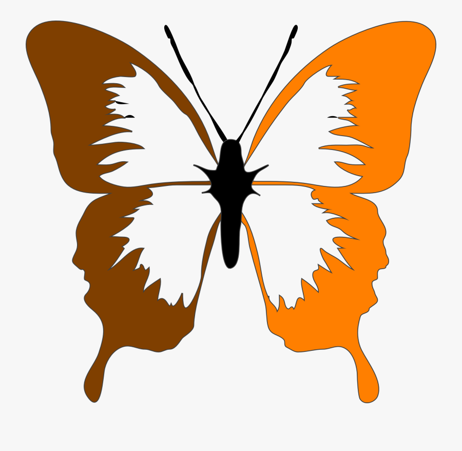 Moth, Butterfly, Insect, Evolution, Selection, Mutation, Transparent Clipart