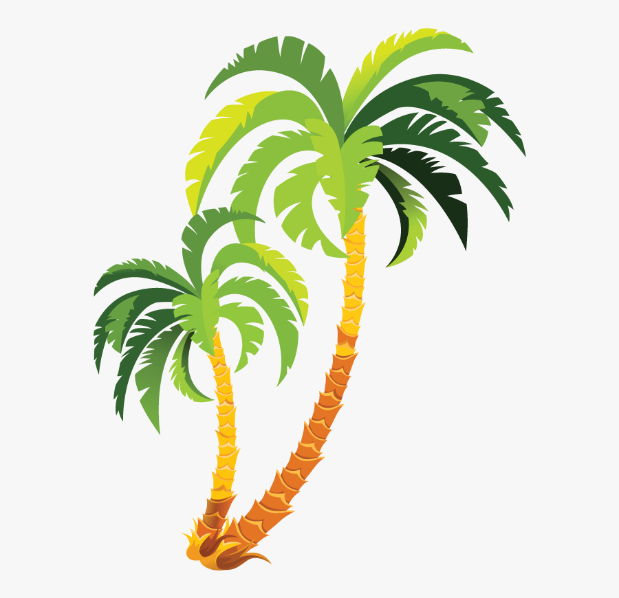 Palm Vector, Transparent Clipart