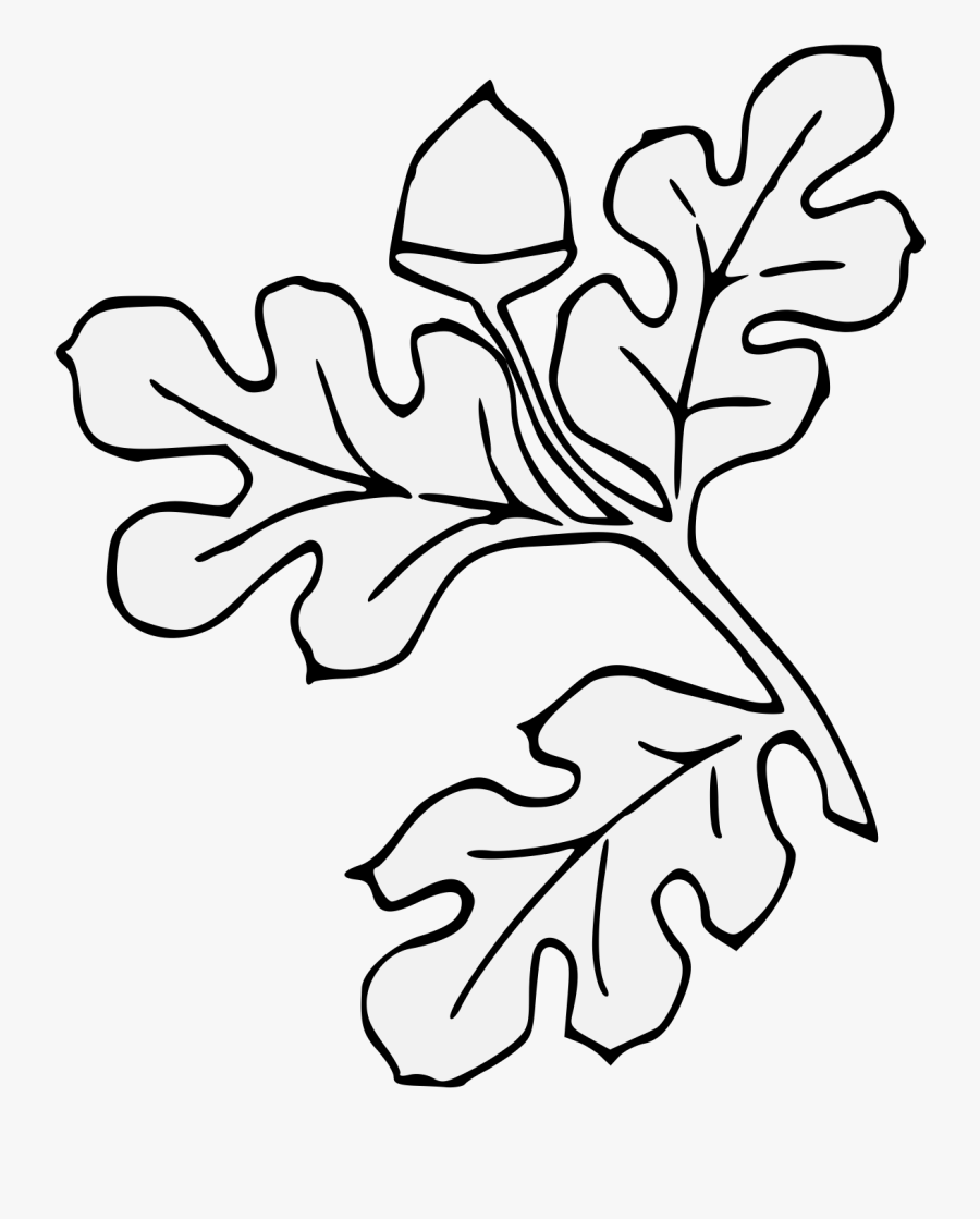 Line Art, Transparent Clipart