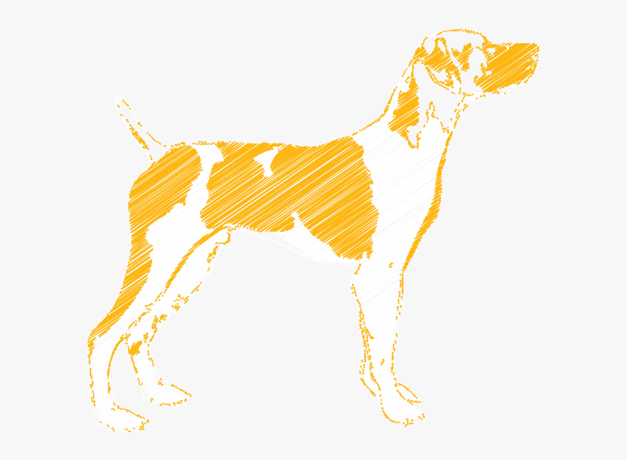 Companion Dog, Transparent Clipart